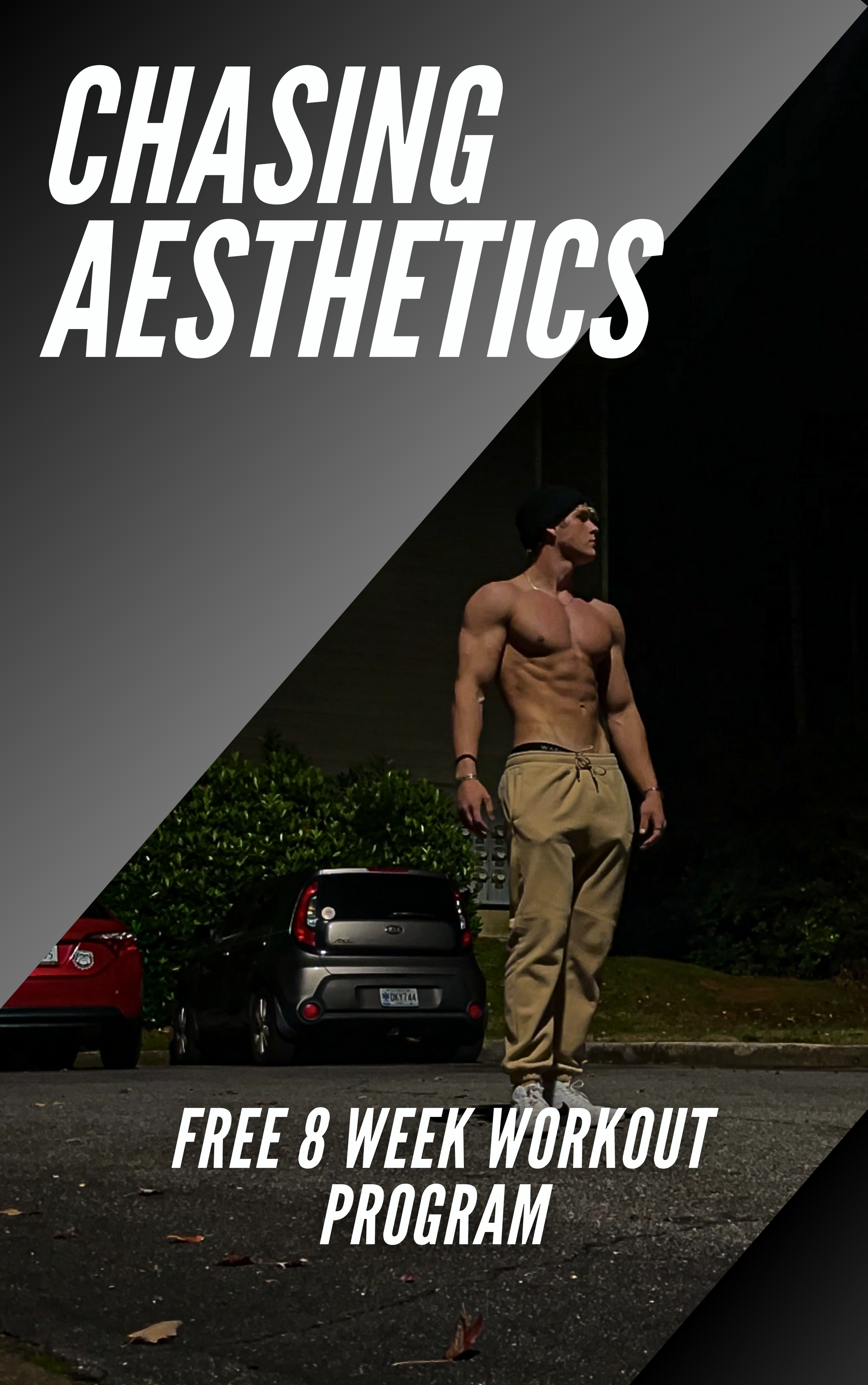 Cover photo of the PiersonFit Chasing AestheticsFree Workout Program Guide eBook, featuring an eye-catching design with bold typography and a fit, confident individual, symbolizing the transformative power of the program.